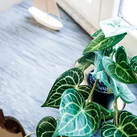 Гостевой дом Switch 9 3*