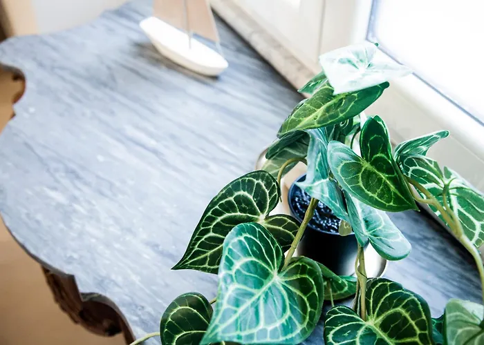 Πανσιόν Switch 9 3*